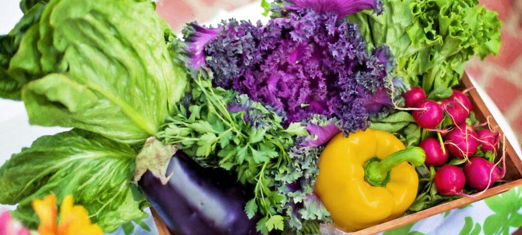 Round Up: National Nutrition Month