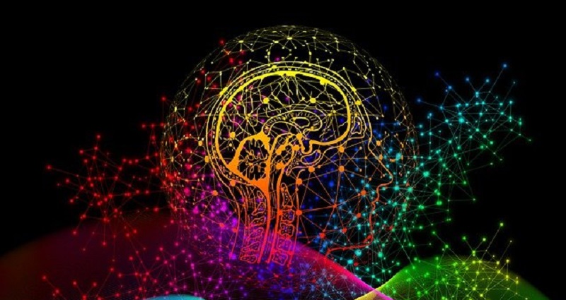 How our brains track where we and others...